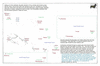 mou36 tonga to guam_thumb.gif
